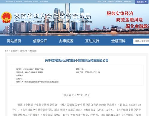 湖南取消21家小额贷款公司业务资质